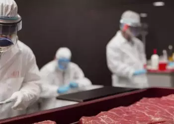 Frigoríficos de MS paralisam embarques de carne bovina aos EUA após tarifa de 50%