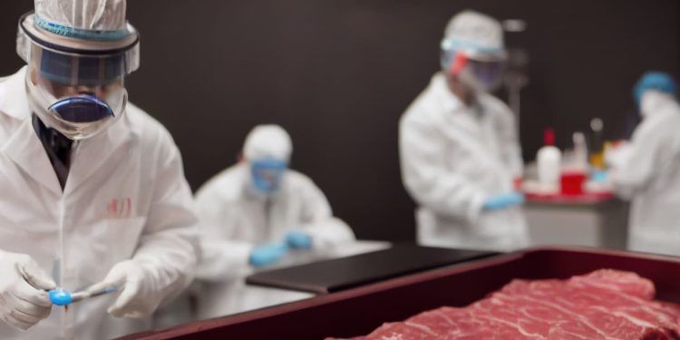 Frigoríficos de MS paralisam embarques de carne bovina aos EUA após tarifa de 50%
