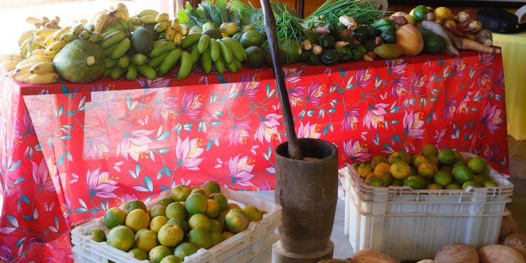 Goiás abre edital do PAA para agricultores familiares quilombolas