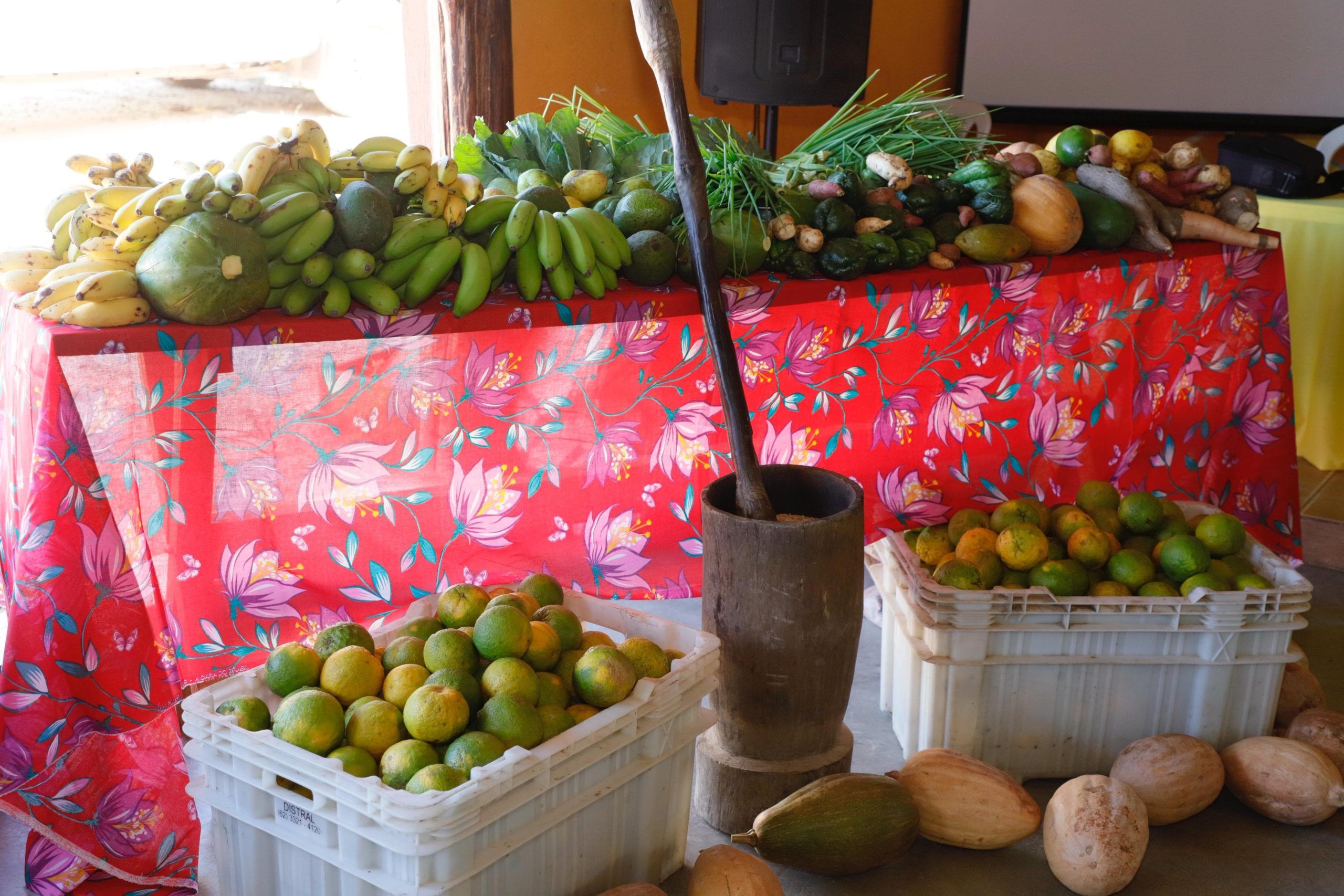 Goiás abre edital do PAA para agricultores familiares quilombolas