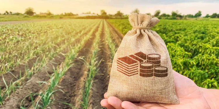 Goiás lança crédito emergencial para empresas afetadas por tarifa dos EUA