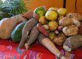 Goiás publica novo edital do PAA Quilombola com ampliação de produto