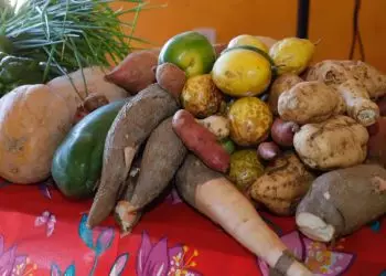 Goiás publica novo edital do PAA Quilombola com ampliação de produto