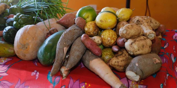 Goiás publica novo edital do PAA Quilombola com ampliação de produto