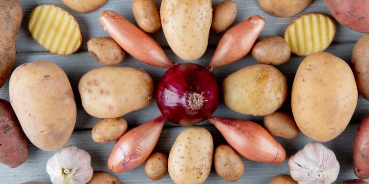 IPCA-15 de julho tem alta moderada com nova queda nos alimentos