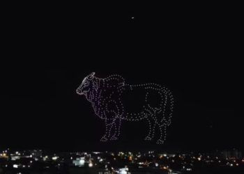 Imagens do campo ganham vida em espetáculo aéreo em Goiás