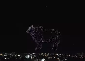 Imagens do campo ganham vida em espetáculo aéreo em Goiás