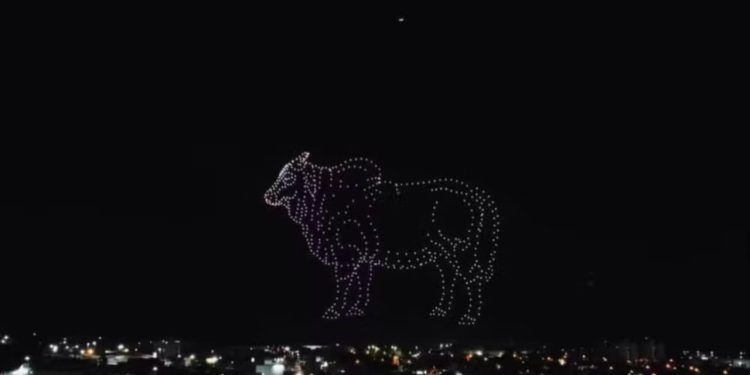 Imagens do campo ganham vida em espetáculo aéreo em Goiás