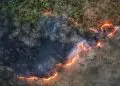 Incêndios impulsionam alta de 8,4% no desmatamento na Amazônia entre agosto e junho