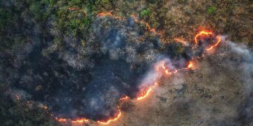 Incêndios impulsionam alta de 8,4% no desmatamento na Amazônia entre agosto e junho