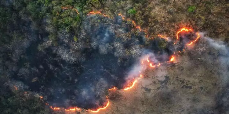 Incêndios impulsionam alta de 8,4% no desmatamento na Amazônia entre agosto e junho