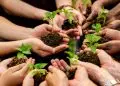 Justiça climática e financiamento verde colocam agro no centro da agenda do BRICS