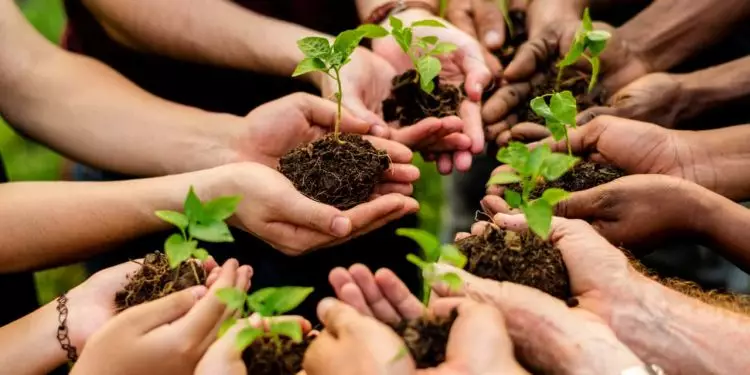 Justiça climática e financiamento verde colocam agro no centro da agenda do BRICS 1 Justiça climática e financiamento verde colocam agro no centro da agenda do BRICS