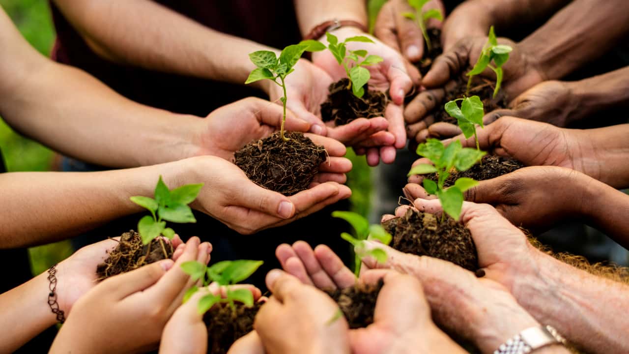 Justiça climática e financiamento verde colocam agro no centro da agenda do BRICS