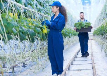 Memorando entre Brasil e Países Baixos cria grupo de trabalho sobre produção sustentável