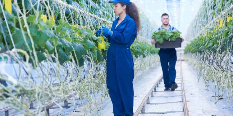Memorando entre Brasil e Países Baixos cria grupo de trabalho sobre produção sustentável