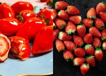 Morango do amor doce tendência que impulsiona pequenos produtores no país