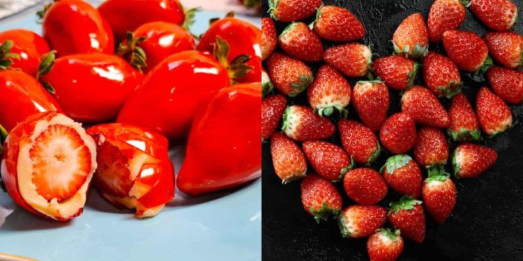 Morango do amor doce tendência que impulsiona pequenos produtores no país