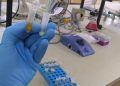 Nova técnica analisa resíduos de pesticidas no pólen de laranjeira com alta precisão