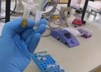 Nova técnica analisa resíduos de pesticidas no pólen de laranjeira com alta precisão