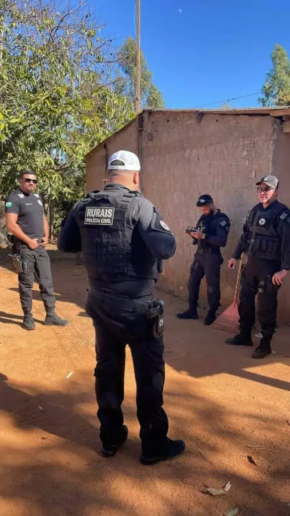 furto de gado em Goiás