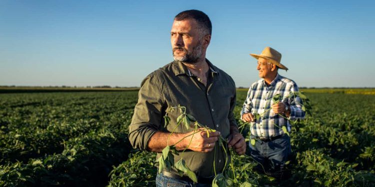 Produtores rurais têm até 17 de julho para regularizar CCIR 2025