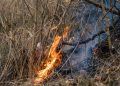 Proibição do uso do fogo entra em vigor para conter incêndios florestais em Goiás