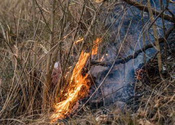 Proibição do uso do fogo entra em vigor para conter incêndios florestais em Goiás
