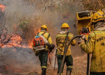 Queimadas caem 66% no Brasil no primeiro semestre de 2025