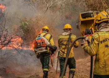 Queimadas caem 66% no Brasil no primeiro semestre de 2025