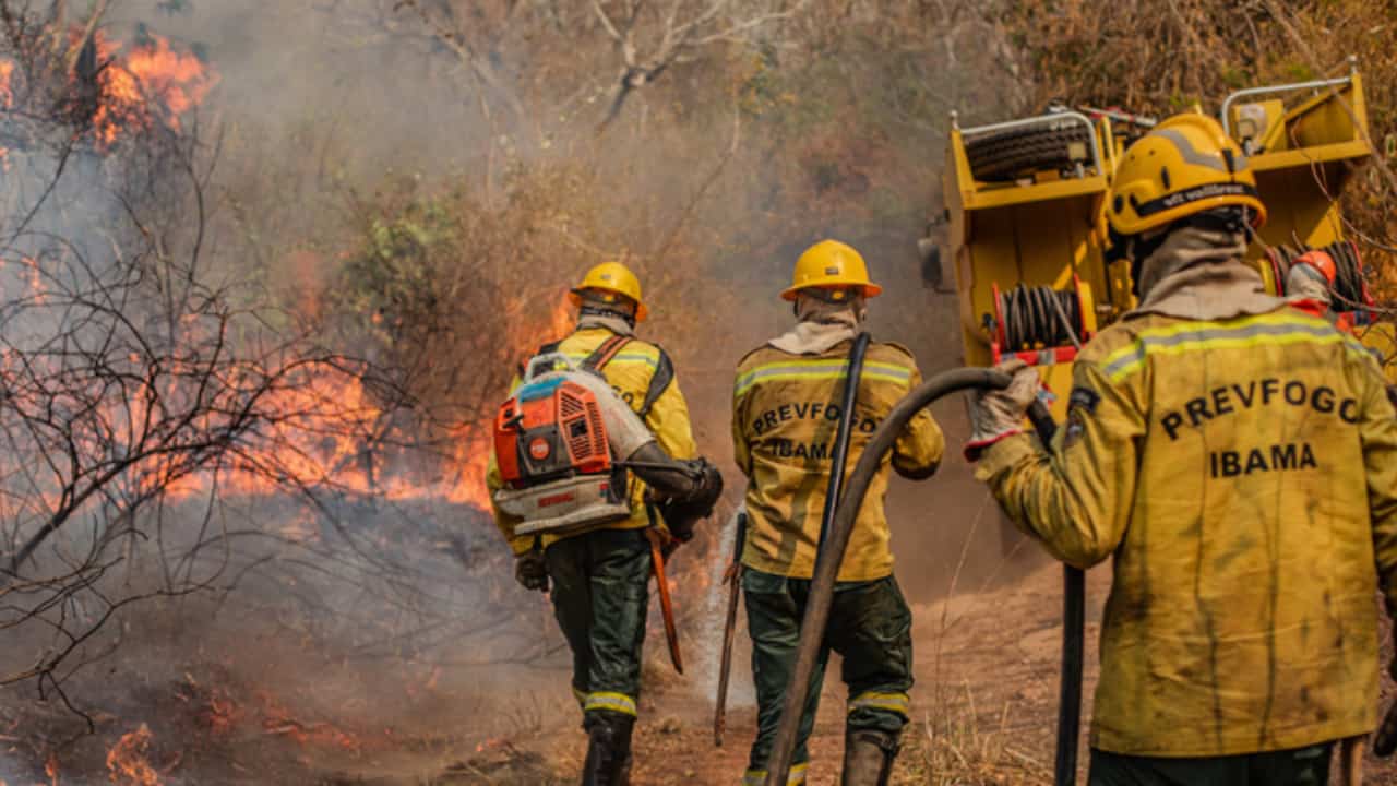 Queimadas caem 66% no Brasil no primeiro semestre de 2025