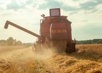 Safra 20242025 em Goiás deve crescer 17% e atingir 35,4 milhões de toneladas