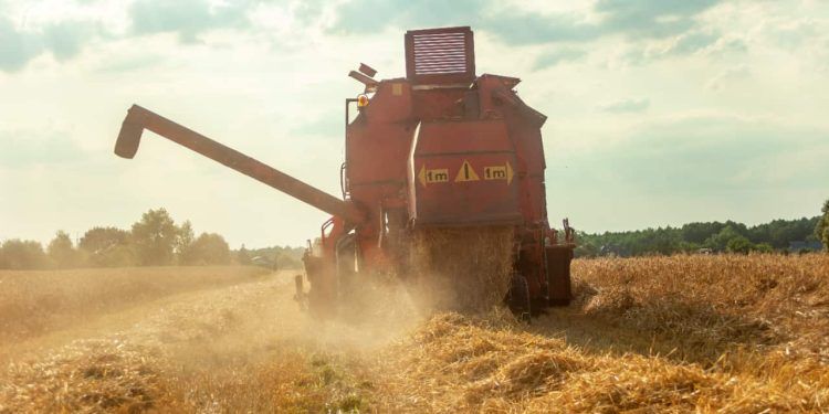 Safra 20242025 em Goiás deve crescer 17% e atingir 35,4 milhões de toneladas