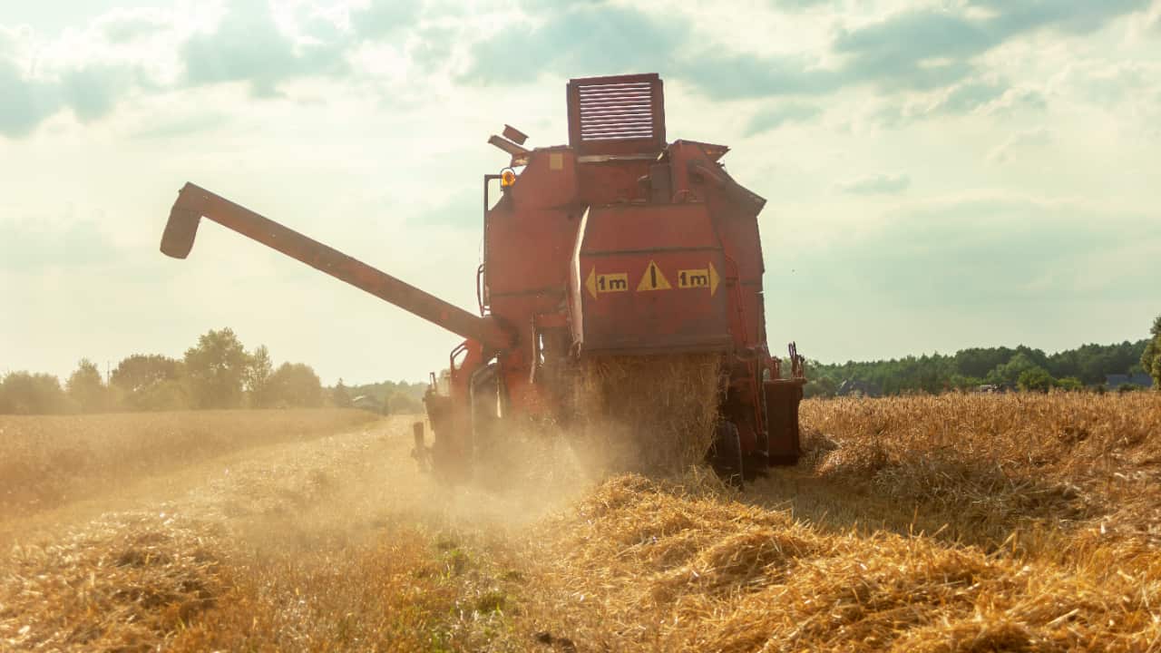 Safra 2024/2025 em Goiás deve crescer 17% e atingir 35,4 milhões de toneladas