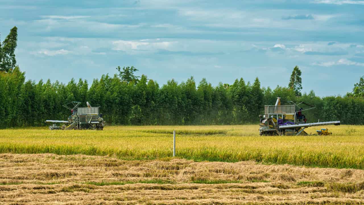 Selic a 15% dificulta financiamento do Plano Safra, diz ministro da Agricultura