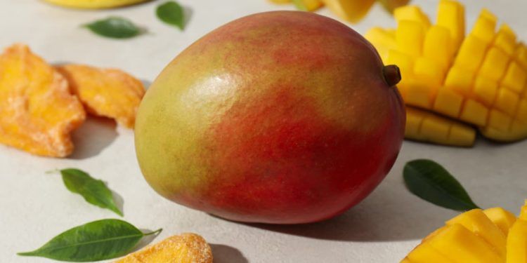 Setor de frutas brasileiras cresce com novas oportunidades e exportações recorde