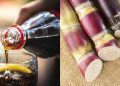 Trump anuncia que Coca-Cola deve passar a usar açúcar de cana nos EUA