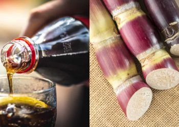 Trump anuncia que Coca-Cola deve passar a usar açúcar de cana nos EUA