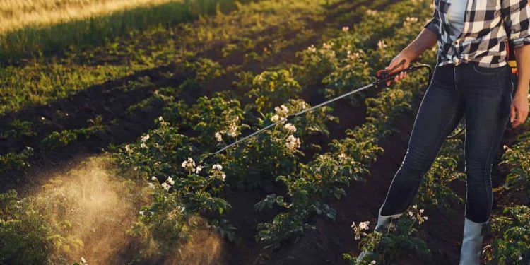 Uso de herbicidas dispara no Brasil com avanço da resistência ao glifosato
