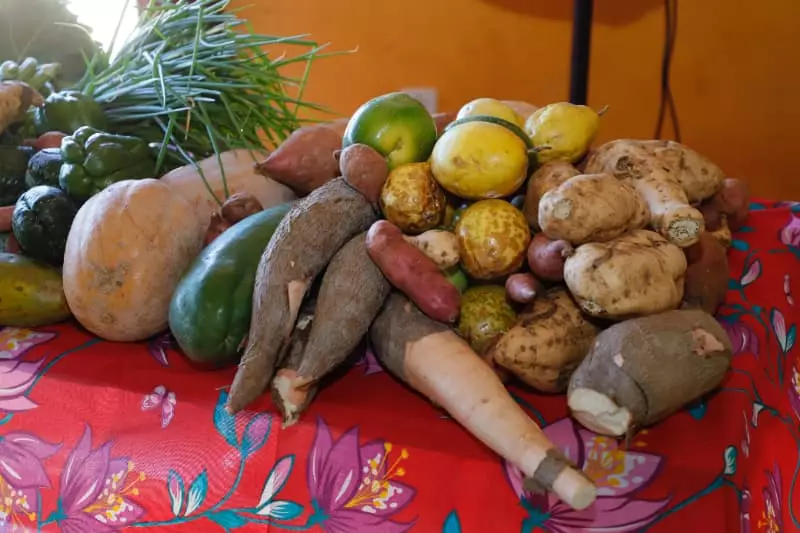 Goiás abre edital do PAA para agricultores familiares quilombolas 2 Agricultura familiar