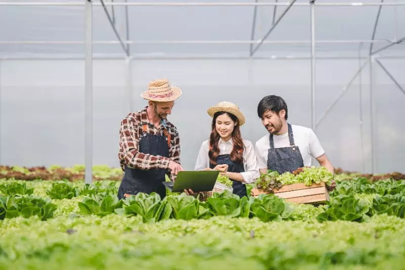 Agropecuaria em Goiás