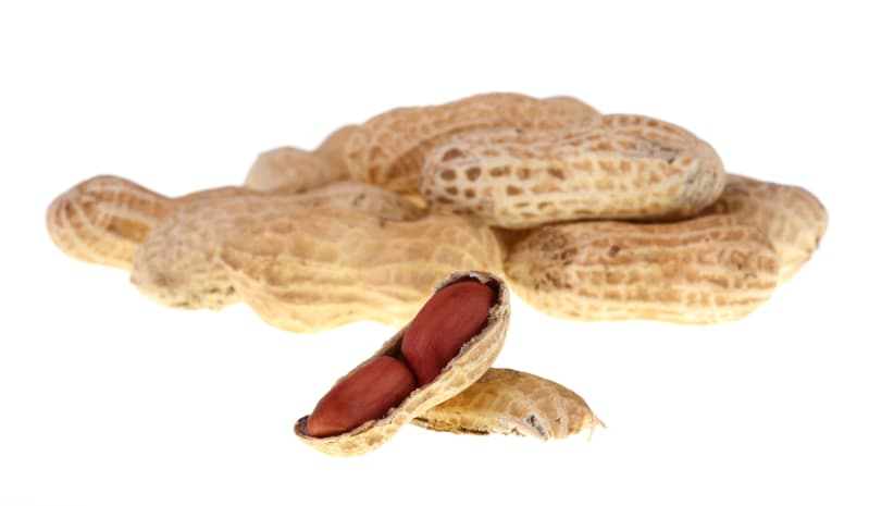 Amendoim