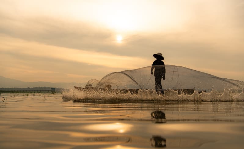 Cadastro de aquicultores no Registro Geral é prorrogado até 2026; veja como fazer 2 Aquicultores