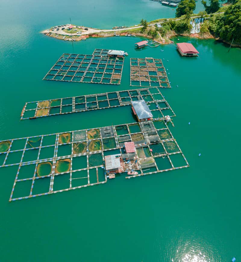 Aquicultura mudanças climáticas