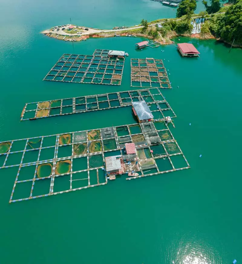 Aquicultura mudanças climáticas