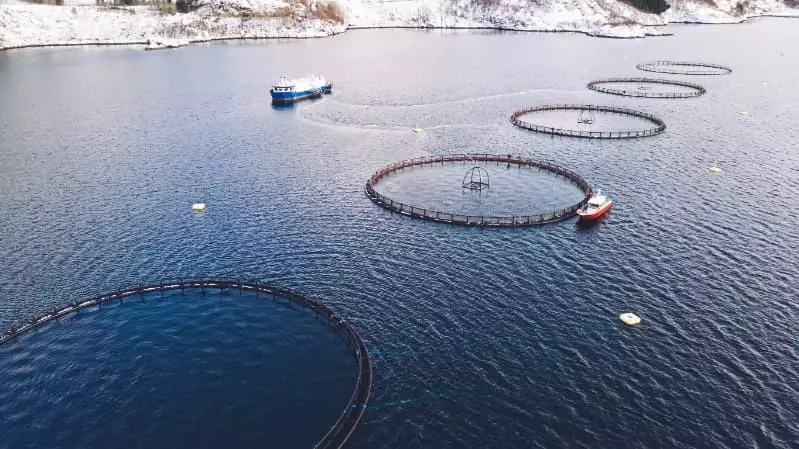 Aquicultura