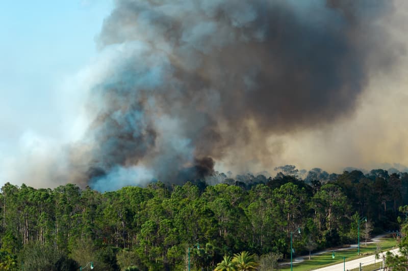Fundo Amazônia financiará ações contra incêndios no Cerrado e Pantanal 2 Combate a incêndios florestais
