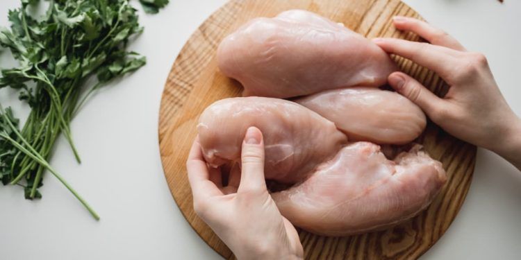 Gripe Aviária: África do Sul e Singapura suspendem restrições à carne de aves do Brasil