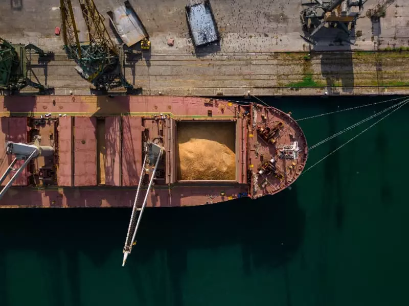 Agronegócio brasileiro exporta US$ 82 bilhões no semestre e sustenta liderança 2 Exportações