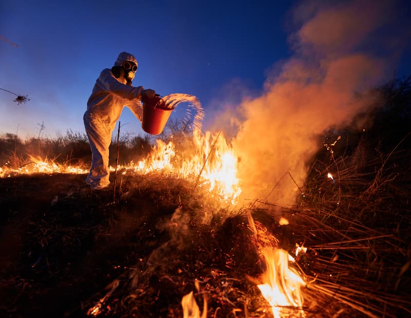 Queimadas caem 66% no Brasil no primeiro semestre de 2025 2 Focos de queimadas